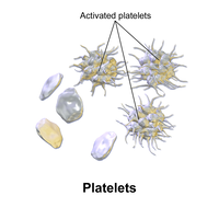 Platelets - Activated - diagram